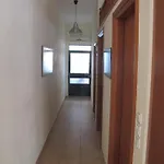 One ~ Fits